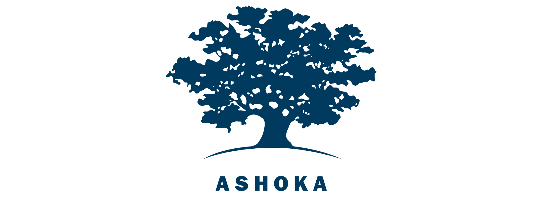 Ashoka - Andrés Aguilar